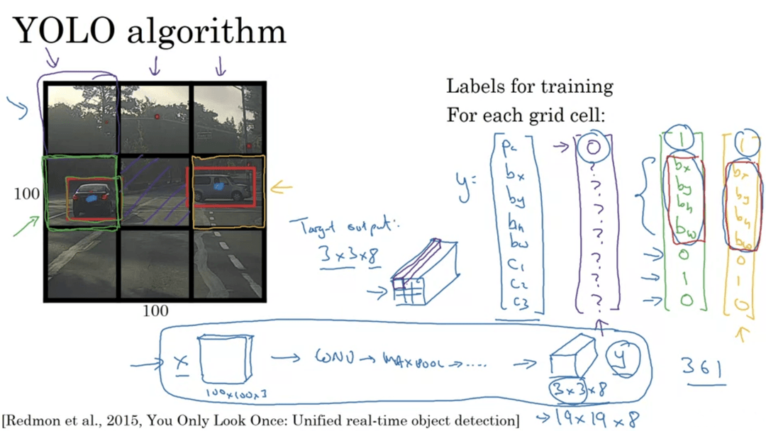 YOLO algorithm